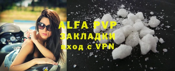 сатива Алзамай