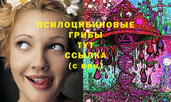 сатива Алзамай